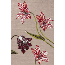 Ted Baker Botanical Tulip Χαλί Ορθογώνιο Καλοκαιρινό 200x280cm Burgundy 455610