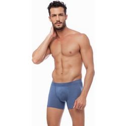 Minerva Ανδρικά Μποξεράκια Σετ 2Pack Raf Μπλε 90-20481-143
