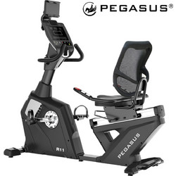 Pegasus R11 Καθιστό Ποδήλατο Γυμναστικής Μαγνητικό