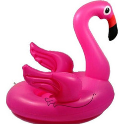 Flamingo Βρεφικό Σωσίβιο Swimtrainer 65cm για 6+ Μηνών Φούξια RM228