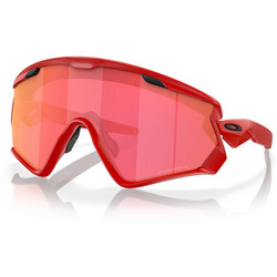 Oakley OO9418-25 Ανδρικά Γυαλιά Ηλίου Μάσκα Κοκάλινα Ροζ με Ροζ Φακό