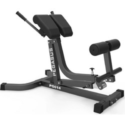 Pegasus 390167014 Επικλινής Πάγκος Γυμναστικής Κοιλιακών Ραχιαίων
