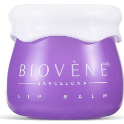 Biovene Barcelona Blueberry & Bakuchiol Age-Defy Tasty Lip Butter Pot 8gr