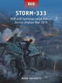 Storm333 Storm333