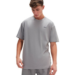 Ellesse Elivio Ανδρικό Αθλητικό T-Shirt Γκρι SHW20611-109