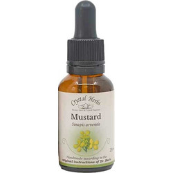 Crystal Herbs Mustard Ανθοΐαμα σε Σταγόνες για Μελαγχολία 25ml