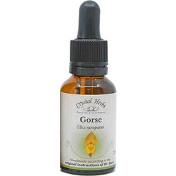 Crystal Herbs Gorse Ανθοΐαμα σε Σταγόνες για Αισιοδοξία 25ml