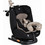 Moni i-Maxx Κάθισμα Αυτοκινήτου i-Size 0-36kg ISOfix Black Beige