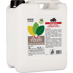 Cifo Essegreen Υγρό Λίπασμα Σιδήρου 10lt