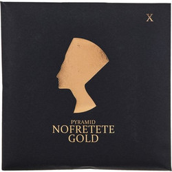 Pyramid NOF10 Nofretete Gold Σετ 6 Χορδές Ηλεκτρικής Κιθάρας Silver Plated Copper 10-46"