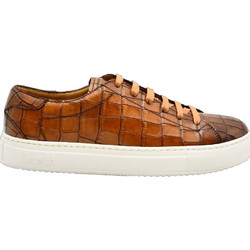 Berwick Ανδρικά Sneakers Ταμπά D586