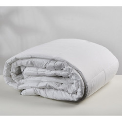 Cokitex Πάπλωμα Μονό Microfiber 160x240 Ειδύλλιο Λευκό 1420015700