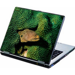 Fish Αυτοκόλλητο για Laptop 15.4" KSEABED2013