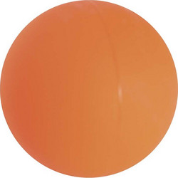 Μπαλάκι Hockey Παιδικό 65mm Amila 48539