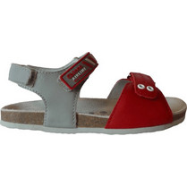 Chicco Hico Παιδικά Πέδιλα για Αγόρι Γκρι 1059727-700
