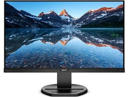 Philips 252B9/00 IPS Monitor 25" 1920x1200 FHD 60Hz 5ms