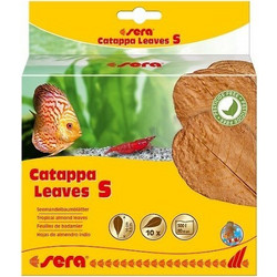 Sera Catappa Leaves Small 14cm