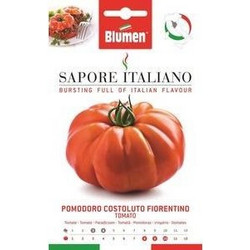 Τομάτα Επιτραπέζια Costoluto Fiorentino