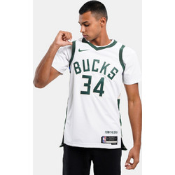 Nike Giannis Antetokounmpo Milwaukee Bucks Association Edition 2022/23 Φανέλα Μπάσκετ ΝΒΑ DN2084-100