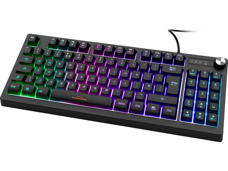 Deltaco GAM-110 Gaming Πληκτρολόγιο TenKeyLess RGB Black