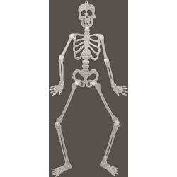ΦΙΓΟΥΡΑ ΣΚΕΛΕΤΟΣ ΚΡΕΜΑΣΤΟΣ GLOW IN DARK FUN WORLD 88CM (7003)