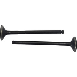 Βαλβίδες εξαγωγής ζεύγος 20ΜΜ racing Yamaha NMAX 155 TOBAKI