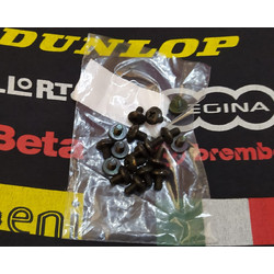 Βίδα M6x10mm για πολλά μοντέλα Piaggio/Gilera/Aprilia 50/125/200/800/850cc καινούργια γνήσια