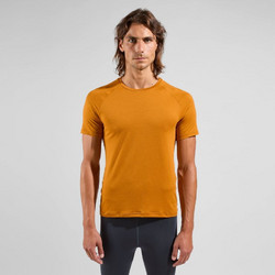 Odlo Crew Neck Essential 365 Ανδρικό Αθλητικό T-Shirt Πορτοκαλί 314102-30884