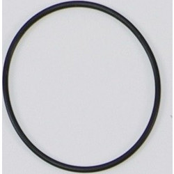 Plunger Pump Cover Outer Sealing Ring (T30)