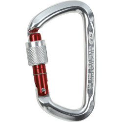 CARABINER CT D SHAPE SG