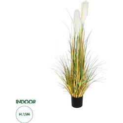 GloboStar(R) Artificial Garden PAMPAS GRASS 20105 Τεχνητό Διακοσμητικό Φυτό Γρασίδι της Πάμπας Υ150cm