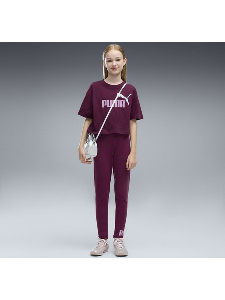 Puma ESS 2 COLOR No.1 Logo Leggings Παιδικό Κολάν (686073-41) Plum