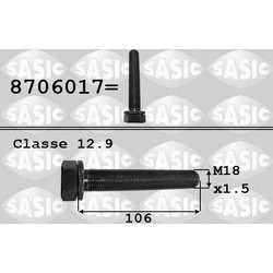 Sasic 8706017