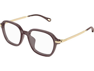 Chloe CH0361OA 001 Γυναικείος Σκελετός Γυαλιών Οράσεως Κοκάλινος Χρυσός Καφέ