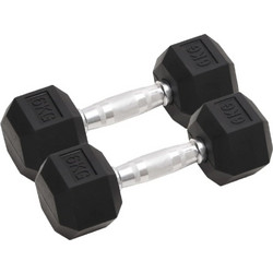 vidaXL 93602 2x12kg