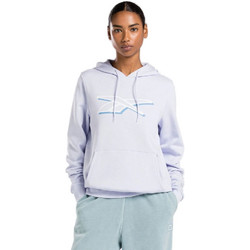 Reebok Vector Graphic Oth Hoodie Γυναικείο Αθλητικό Φούτερ με Κουκούλα Μωβ 100071369