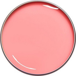 Alezori Gel Medium Prism Coral 15gr