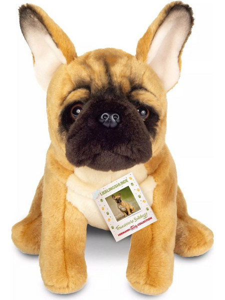 Hermann Teddy Κουτάβι French Bulldog 919872