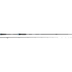 Tubertini Seika Shinogi Καλάμι Ψαρέματος για Slow Jigging Carbon Δίσπαστο 2.53m