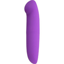 GC Mini Spotter Vibrator 12.7cm Purple
