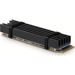 Axagon CLR-M2L10 Ψύξη M.2 SSD 80mm
