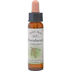 Crystal Herbs Hornbeam Ανθοΐαμα σε Σταγόνες για Ενέργεια 10ml