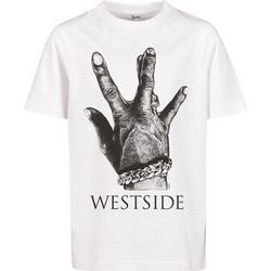 Mister Tee Παιδικό T-Shirt Κοντομάνικο Λευκό MTK219-00220