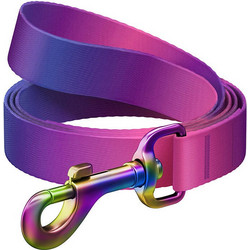 Waudog Gradient Λουρί Σκύλου 1.22m x 20mm Μωβ