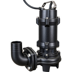 SAEP DSWF2.2T
