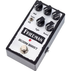 Friedman Buxom Boost