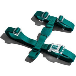 Zee.Dog Neopro Σαμαράκι Σκύλου Ιμάντας Πετρόλ Medium