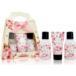 Accentra Essential Botanicals Set