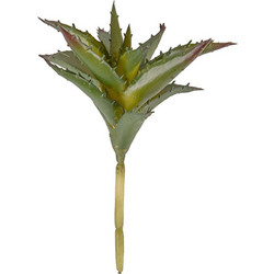Διακοσμητικό Φυτό Aloe PT3648 15,2x17,1x15,2cm Green Present Time Πλαστικό