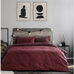 Kocoon Σετ Σεντόνια Μονά Βαμβακερά 160x270 Zola Bordeaux